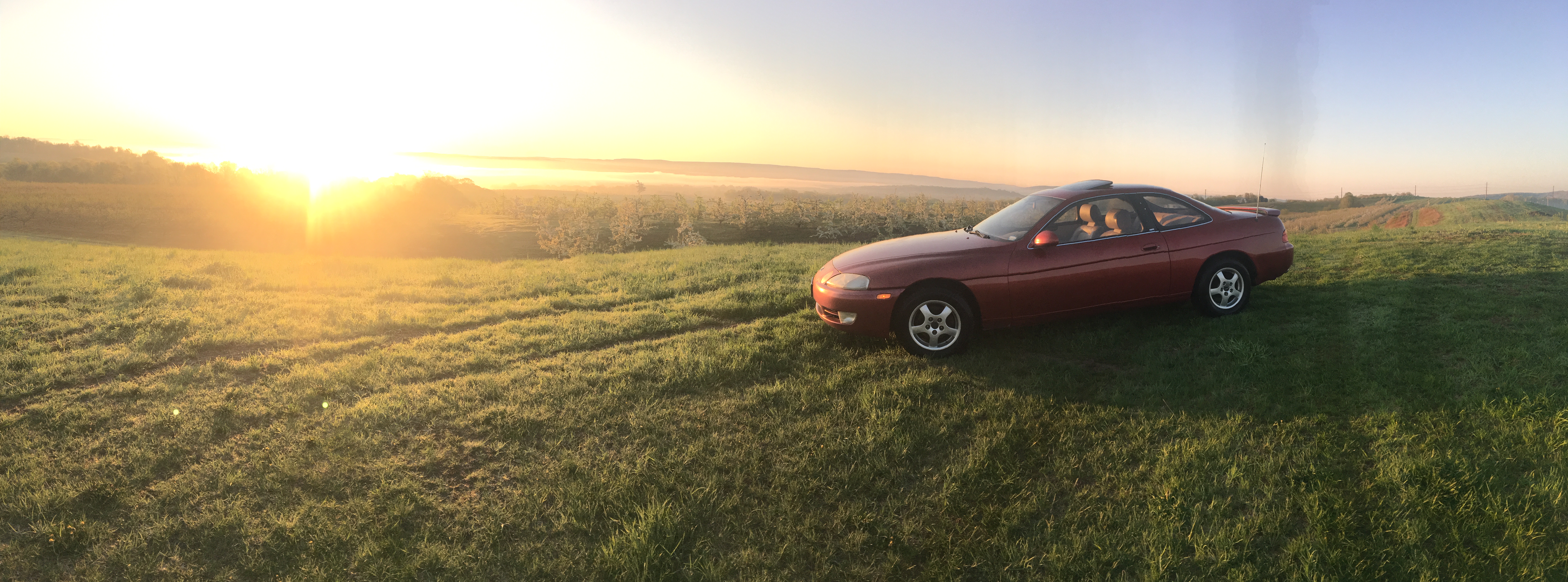 1993 Lexus SC 300 – Supra-Platform 2JZ GT Coupe, Refined Rear-Drive Lexus Classic — photo 2
